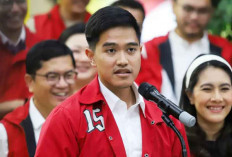 Kasus Jet Pribadi, KPK Persilakan Klarifikasi Secara Mandiri kepada Bobby dan Kaesang 