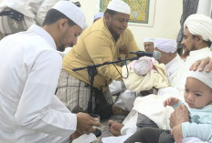 Tarim Bayi