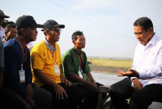 HPP Gabah Resmi Naik, Pemerintah Tegas Lindungi Petani dari Mafia Beras
