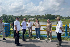 Tinjau Aliran Irigasi, DPRD Belitung Soroti Penyempitan Aliran  