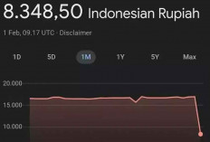 Selain Dolar AS, Nilai Tukar Euro terhadap Rupiah Juga Menguat di Google