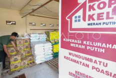 Dukung Operasional, Pemerintah Bakal Tempatkan PPPK di Kopdes Merah Putih