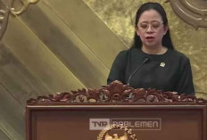 1.967 CPNS Mengundurkan Diri, Puan Maharani Minta Sistem Rekrutmen ASN Dievaluasi