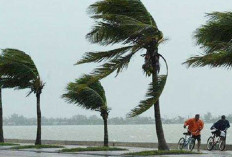 Waspada Cuaca Ekstrem, BPBD Imbau Masyarakat Belitung Siaga Angin Kencang