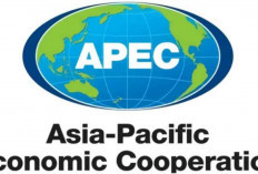 Indonesia Perkuat Diplomasi Investasi di APEC IEG2 2025