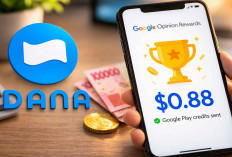 Saldo DANA Gratis Rp600 Ribu Bisa Cair dari Aplikasi Penghasil Uang Ini, Cuma Isi Survei