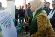 Wagub Babel Ajak Warga Jaga Mangrove: Benteng Alam yang Menyelamatkan Masa Depan