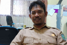 Kualitas Udara Belitung Terbersih Bulan Mei-Juni, DLH Jelaskan Ini