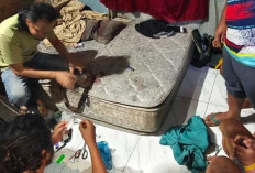 Polres Bangka Kembali Bongkar Kasus Sabu, Pengedar Ditangkap di Kecamatan Bakam