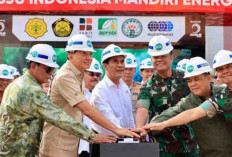 Bahlil Sebut Penerapan Biofuel B50 di 2026 Berpotensi Bebaskan Indonesia dari Impor Solar