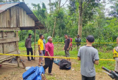 Warga Tanjungpandan Tewas Dengan Kondisi Mulut Berbusa, Mayatnya Ditemukan di Kebun Durian