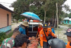 BPBD Belitung Temukan Nenek Hilang di Hutan