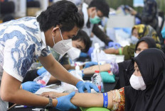 2 Senjata Baru Indonesia Lawan TBC, dari Renovasi Rumah hingga Terapi Singkat