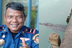 Dugaan Penyebab Buaya Teror Nelayan Tanjung Rusa Terungkap, Ini Kata Pengamat