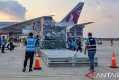 Logistik MotoGP Indonesia Tiba di Mandalika, 2 Pesawat Kargo Mendarat di Lombok