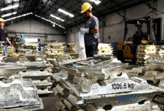 Ekspor Timah Babel 2026 Melonjak Tajam, Kuasai 80 Persen Nilai Ekspor