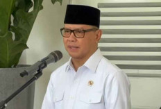 Menteri P2MI Ingatkan Masyarakat Jangan Mudah Percaya Tawaran Kerja Luar Negeri di Medsos