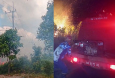 Karhutla Belitung Kembali Terjadi, BPBD Padamkan 2 Kebakaran Lahan dalam Sepekan