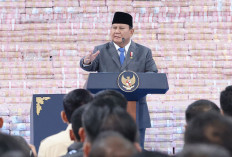 Pengusaha Nakal 8 Tahun Menambang Tanpa Izin, Prabowo: Pidanakan!