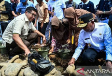 Pembangunan Hunian Tetap Korban Bencana Sumut Resmi Dimulai, Target Selesai Awal 2026