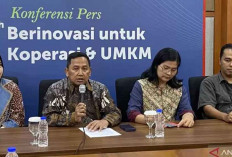 Koperasi Indonesia Alami Pembenahan, 82.000 Unit Dibubarkan Selama 2019-2024