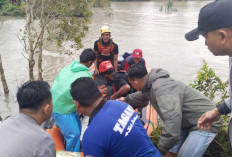 Faktor Penyebab Buaya Sungai Cerucuk Belitung Serang Manusia, Ini Penjelasan DLH