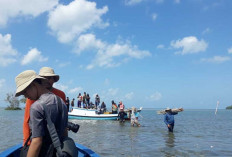 Tim DJN Wanadri Tanam dan Pemeliharaan 10.000 Mangrove di Belitung