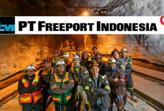 Lowongan Kerja Fresh Graduate Freeport Indonesia 2024, Ini Daftar 27 Jurusan yang Dibutuhkan