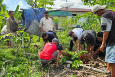 PWI Belitung Sembelih Sapi Kurban Bantuan PT Timah, Daging Dibagikan ke Warga Sekitar