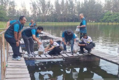 15.000 Bibit Nila Ditebar di Kolong Babel, Dorong Ketahanan Pangan dan Edukasi Budidaya