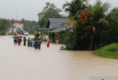 Siaga 24 Jam, BPBD Bangka Antisipasi Bantuan Bencana Banjir 