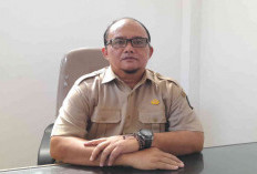 Pemkab Belitung Catat Persediaan Beras Cukup Hingga Awal Tahun 2026