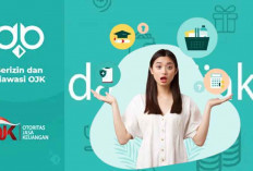 DanaBijak: Solusi Pinjaman Online 24 Jam yang Aman, Cepat, dan Terpercaya