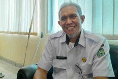 Ekspor Kerapu Hidup Masih Tersendat, Dinas Perikanan Belitung Terus Cari Solusi