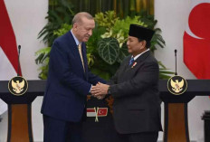 Prabowo Terima Kunjungan Erdogan: Indonesia-Turki Perkuat Kemitraan Strategis di Berbagai Sektor