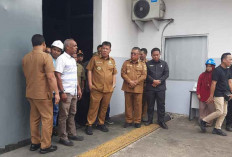 Stok Aman, Produksi Minyakita di PT SWP Beltim Capai 200 Ton per Bulan