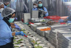 BRIN Tekankan Pengawasan Maksimal Titik Krusial MBG, Cegah Risiko Kesehatan dan Keracunan
