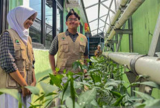Mematri Gerakan Energi Lestari dari Sekolah Berdikari