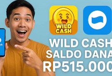 Heboh! Aplikasi Penghasil Uang Ini Bagi-Bagi Saldo DANA Rp500 Ribuan, Cuma Isi Kuis