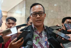 Tak Hanya Mobil Listrik, Pemerintah Kaji Insentif untuk Hybrid dan Kendaraan Hidrogen