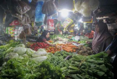 Disiplin Fiskal dan Stabilitas Ekonomi Berkelanjutan