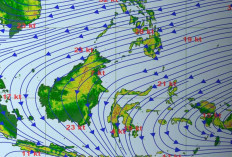 Waspada Bencana Mulai Mengintai Indonesia! Begini Tanda-tandanya