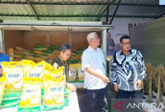 Bulog Harus Salurkan 1,1 Juta Ton Beras SPHP hingga Desember 2025