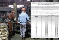 Harga Timah Kering Terbaru 2025, PT Timah Tetapkan NIUJP Sebagai Acuan Kemitraan