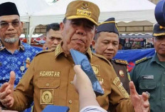 Ratusan Hektar Kebun Sawit Ilegal di Babel Diincar Kejagung, 90 Persen Kades Diduga Terlibat