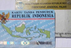 Sinergi Meningkatkan Kepatuhan Pajak Melalui Single Profile Policy