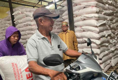 Digitalisasi Dukung Kepastian Petani Dapat Pupuk Bersubsidi