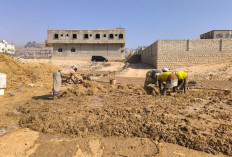 Tarim Habib