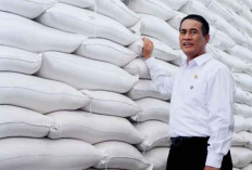 Bapanas: Indonesia Menuju Lumbung Beras Dunia Berkat Swasembada Tanpa Impor