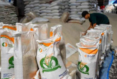 Perum Bulog Berhasil Menyerap 800 Ribu Ton Beras Petani hingga Agustus 2024